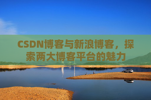 CSDN博客与新浪博客，探索两大博客平台的魅力